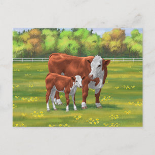 Hereford Cow & Cute Calf i sommarbetesmark Vykort