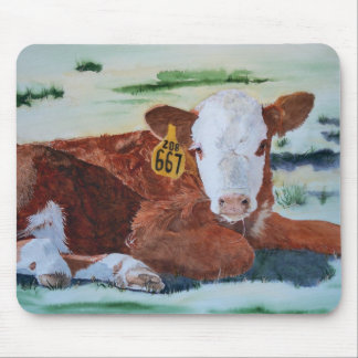 Hereford kalv musmatta