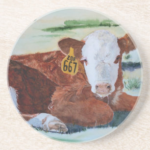 Hereford kalv underlägg sandsten