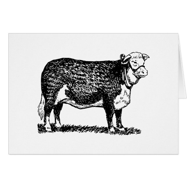 Hereford ko OBS kort (Framsidan Horizontal)