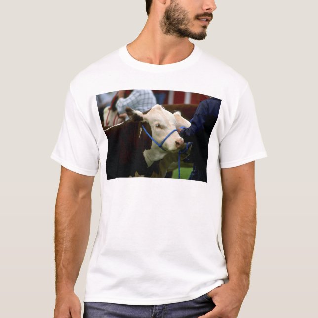 Hereford nötkreatur tee shirt (Framsida)