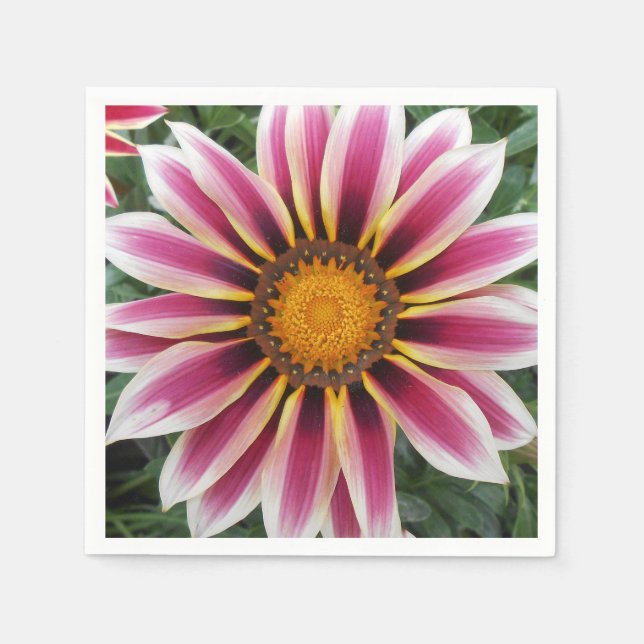 Hereford Pappersservett (Framsidan)