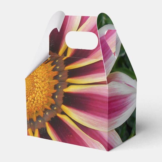 Hereford Presentaskar (Framsidan Sidan)