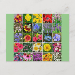 Heritage Flowers - USA Vykort
