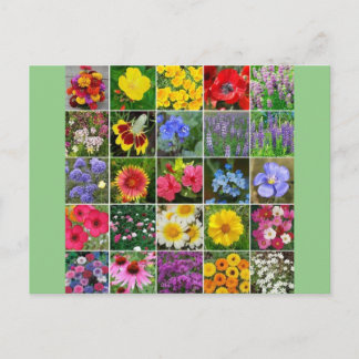 Heritage Flowers - USA Vykort