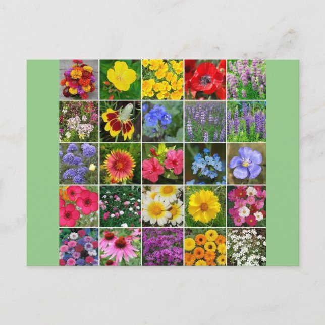 Heritage Flowers - USA Vykort (Framsida)