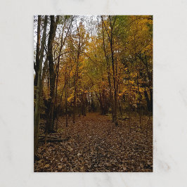Heritage Park Fall Trail Postcard Helg Vykort