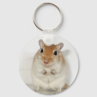 Herman, Gerbil Keychain
