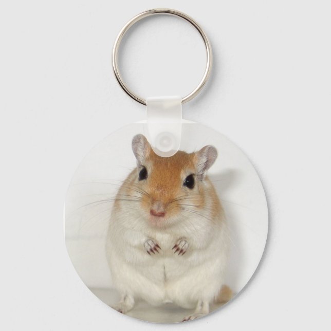 Herman, Gerbil Keychain Nyckelring (Framsida)