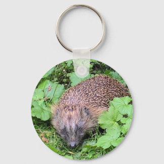 Herman Hedgehog Nyckelring