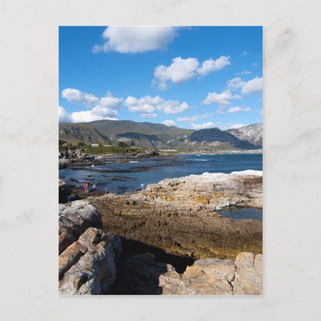 Hermanus kusten vykort (Framsida)