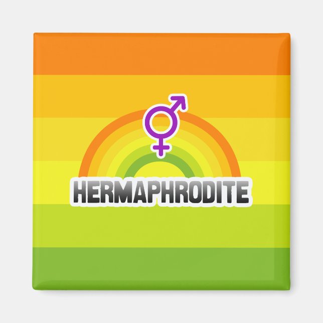 HERMAPHRODITE RAINBOW MAGNET (Framsidan)