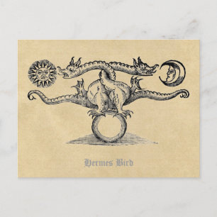Hermes Bird Alchemy Vykort