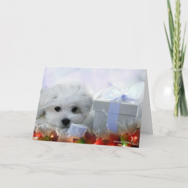 Hermes det maltesiska julhälsningkortet helgkort (Framsida)