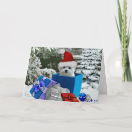 Hermes det maltesiska julhälsningkortet helgkort