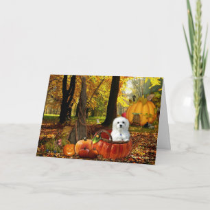 Hermes på maltesiska kort