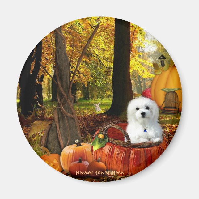 Hermes på maltesiska magnet (Framsidan)