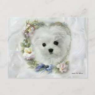 Hermes the Maltese Valentine Card Helg Vykort