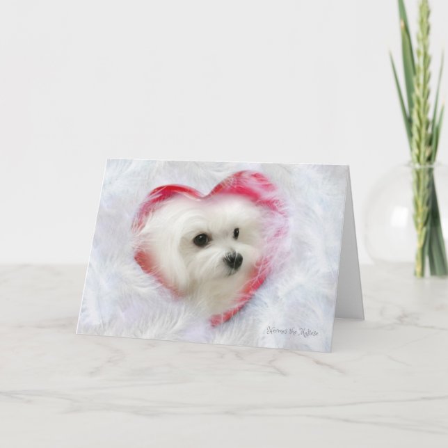 Hermes the Maltese Valentine Card Helgkort (Framsida)