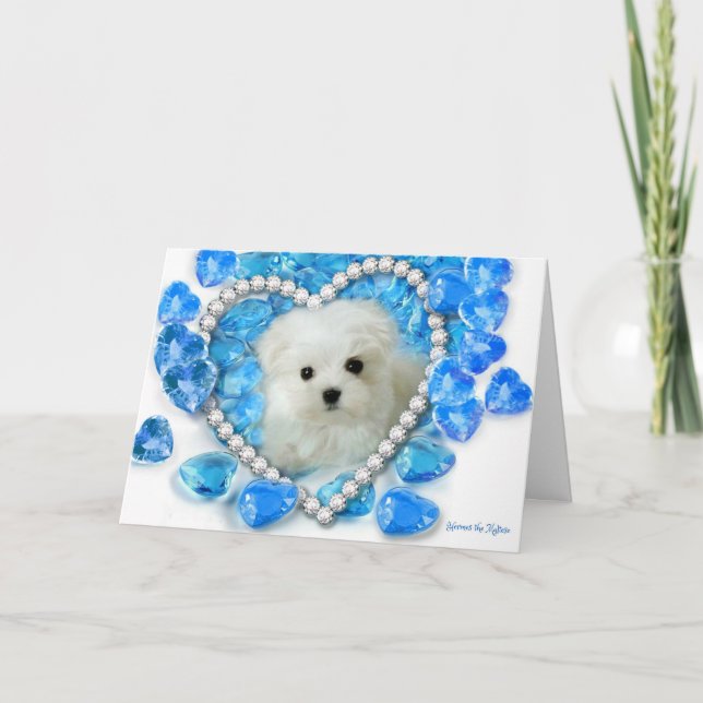 Hermes the Maltese Valentine Card Helgkort (Framsida)