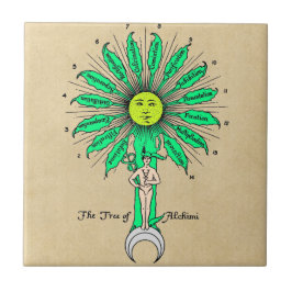 Hermes träd av alkemi kakelplatta