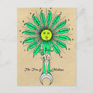 Hermes Träd i Alchemy Mandala Vykort