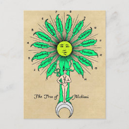 Hermes Träd i Alchemy Mandala Vykort