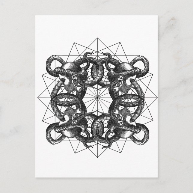 Hermetica Moderna - Medusa sammanflätad Inbjudan Vykort (Framsida)