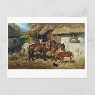 Hermine Biedermann Harnsed Horses vid Stab Vykort