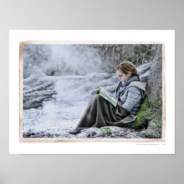 Hermion 13 poster (Framsidan)