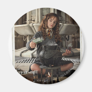 Hermion 20 magnet