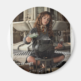 Hermion 20 magnet