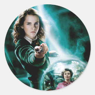 Hermione Granger and Professor Umbridge Runt Klistermärke