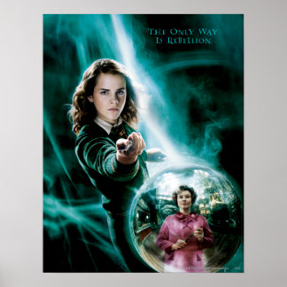 Hermione Granger och professor Umbridge Poster