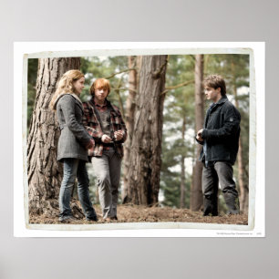 Hermione, Ron och Harry 2 Poster