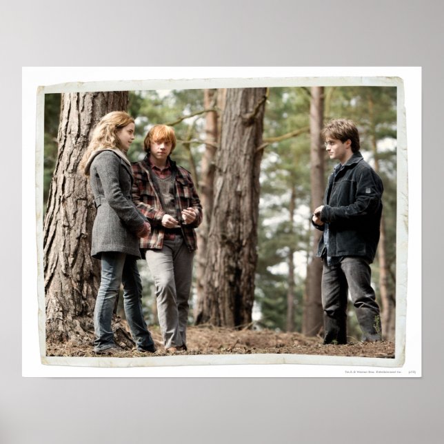 Hermione, Ron och Harry 2 Poster (Framsidan)