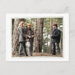 Hermione, Ron och Harry 2 Vykort
