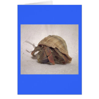 Hermit Crab #8 Hälsningskort