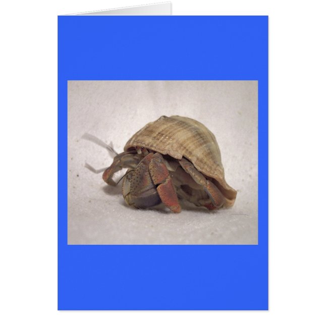 Hermit Crab #8 Hälsningskort (Framsidan)