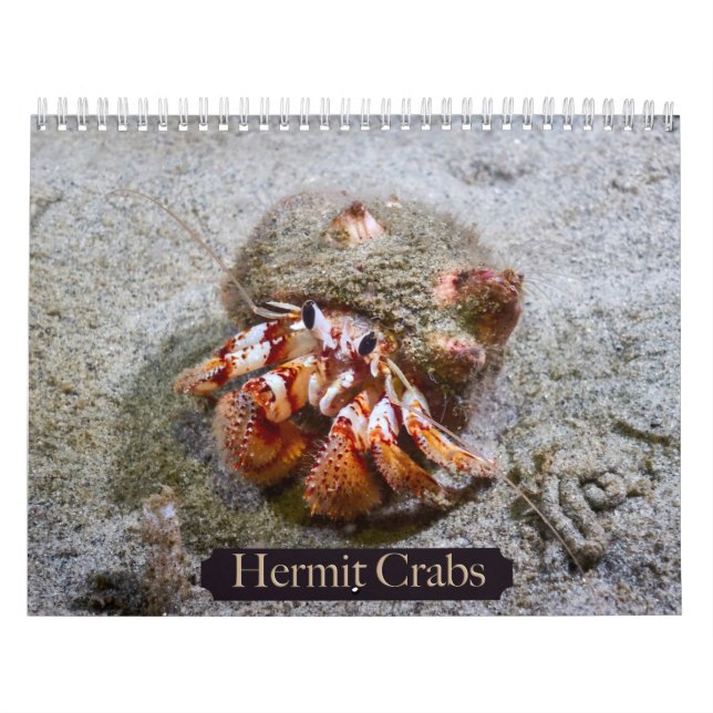 Hermit Crab Calendar Kalender (Omslag)