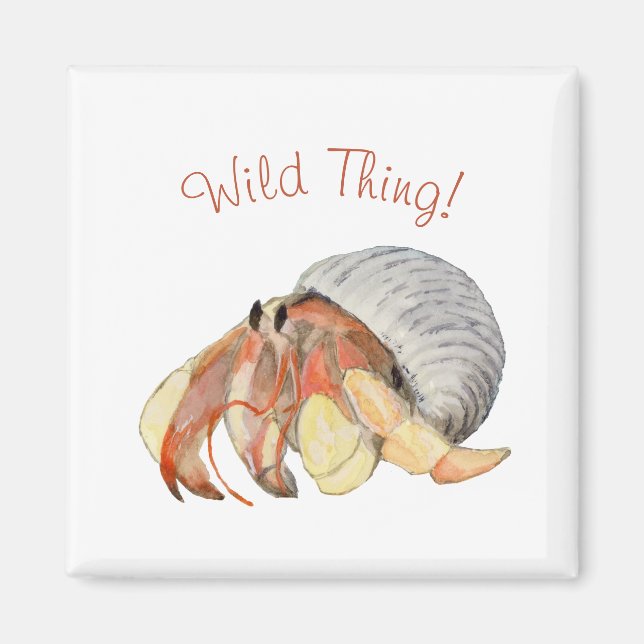 Hermit Crab Magnet (Framsidan)