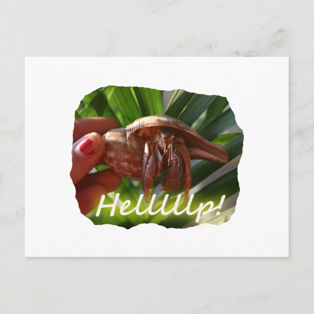 Hermit Crab och Help text, lustig djurdesign Vykort (Framsida)