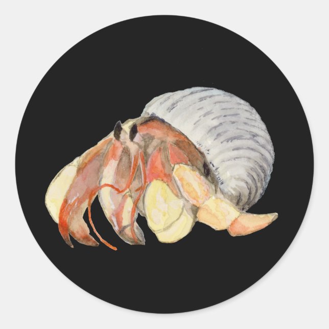 Hermit Crab Runt Klistermärke (Framsida)