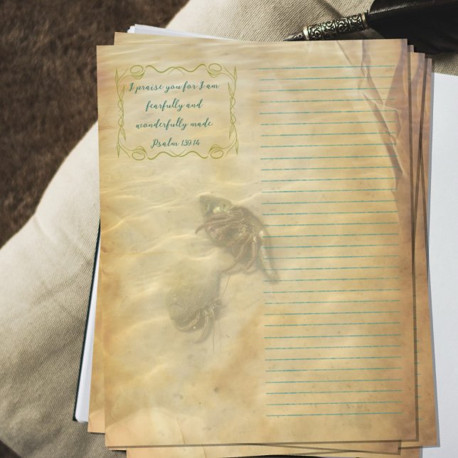 Hermit Crabs Scripture Scrapbook Paper Reklamblad (Skapare uppladdad)