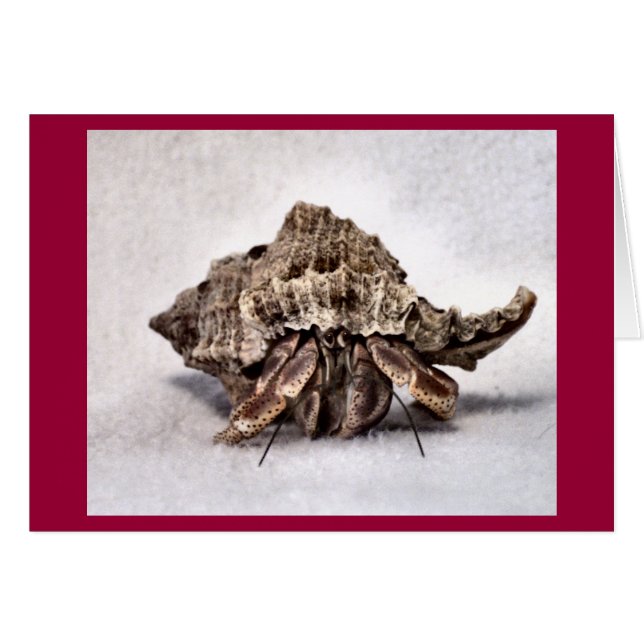 Hermit krab #1 hälsningskort (Framsidan Horizontal)