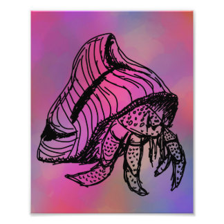 Hermit krabb print fototryck