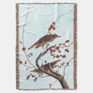 Hermit Thush Audubon Bird med Red Berries Filt