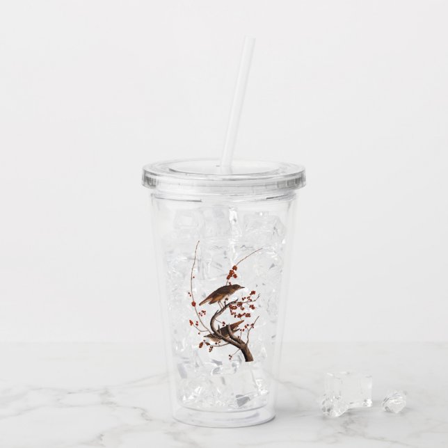 Hermit Thush Audubon Bird med Red Berries Take Away Mugg (Baksida Ice)