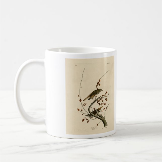 Hermit Thush från Audubon's Birds of America Kaffemugg (Vänster)