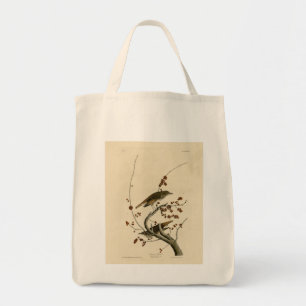 Hermit Thush från Audubon's Birds of America Tygkasse